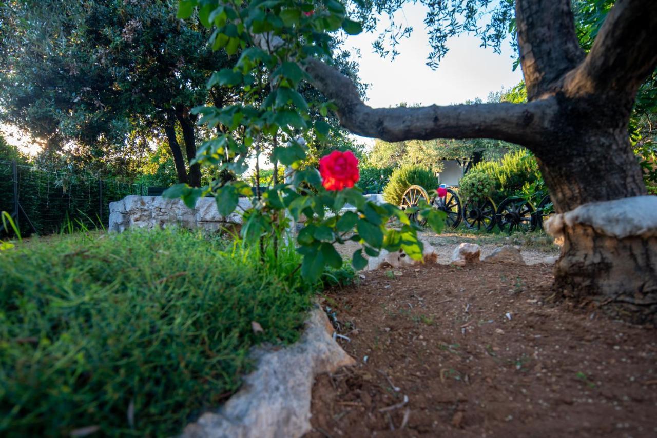 Holiday House Cvita Biograd Na Moru Extérieur photo